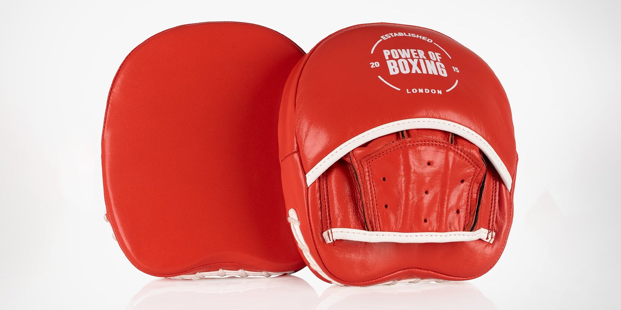 Focus Mitts