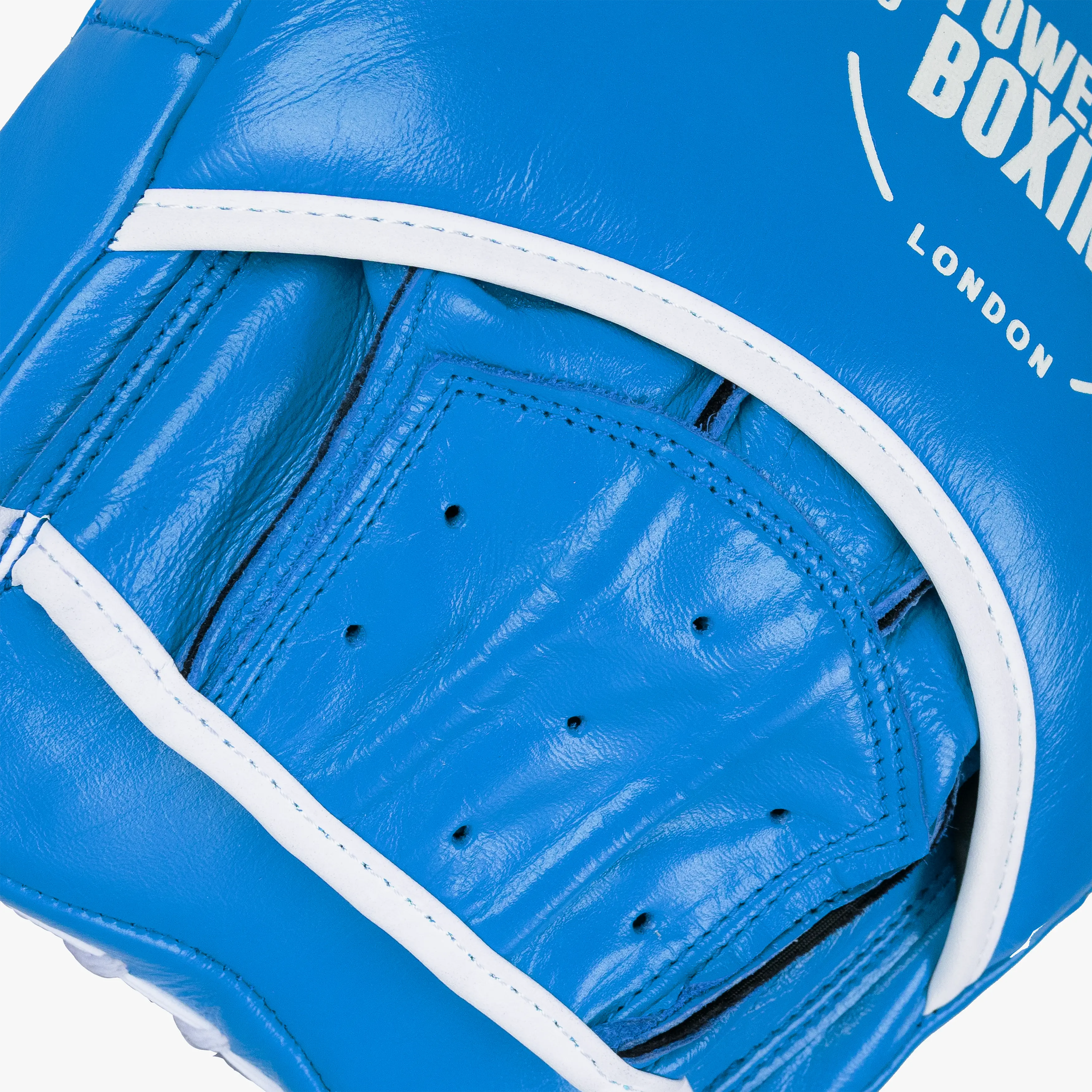 Focus Mitts - Blue Power Of Boxing