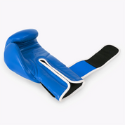Prime Legacy Gloves - B1 Power Of Boxing