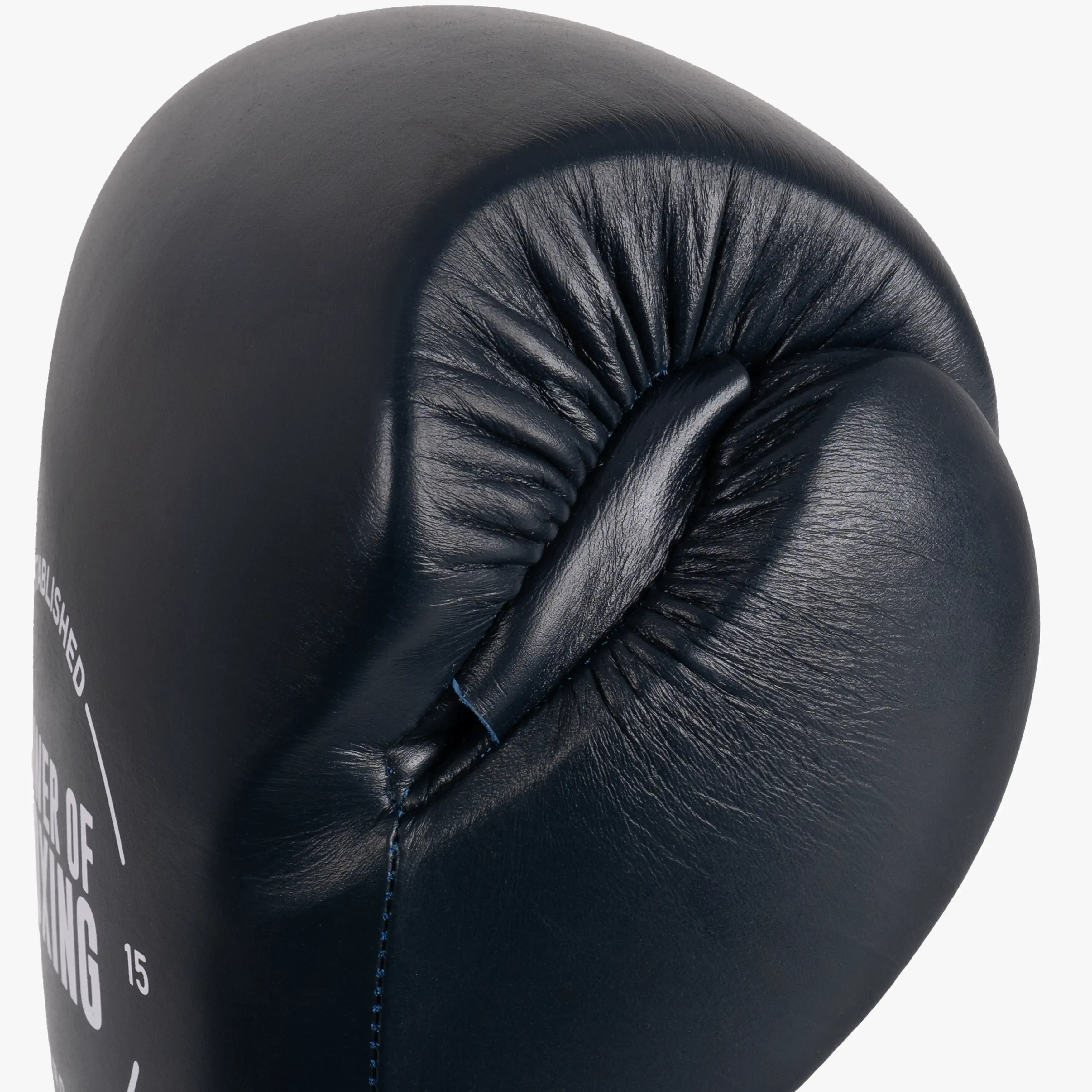 Prime Legacy Gloves - B1 Power Of Boxing