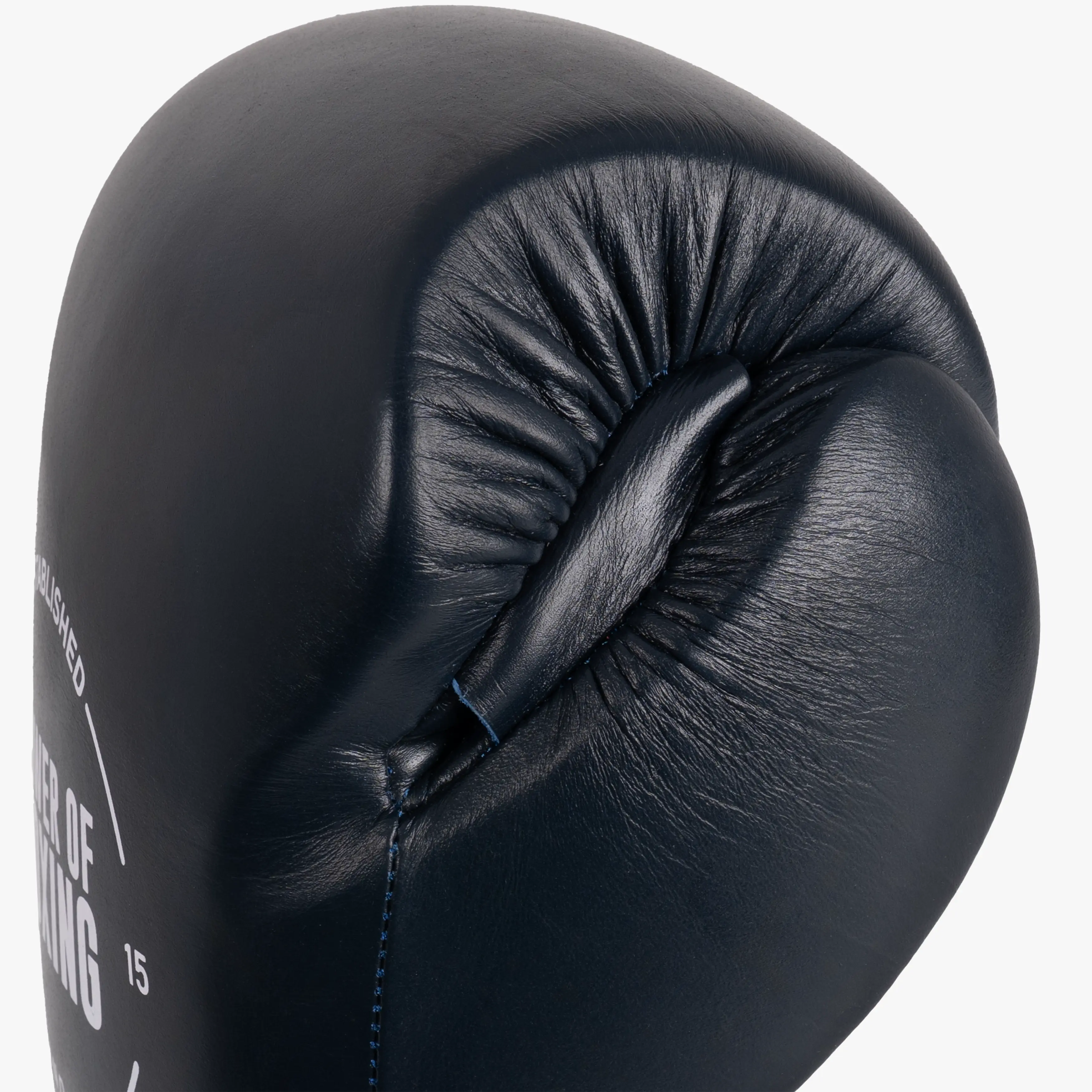 Prime Legacy Gloves - N1 Power Of Boxing