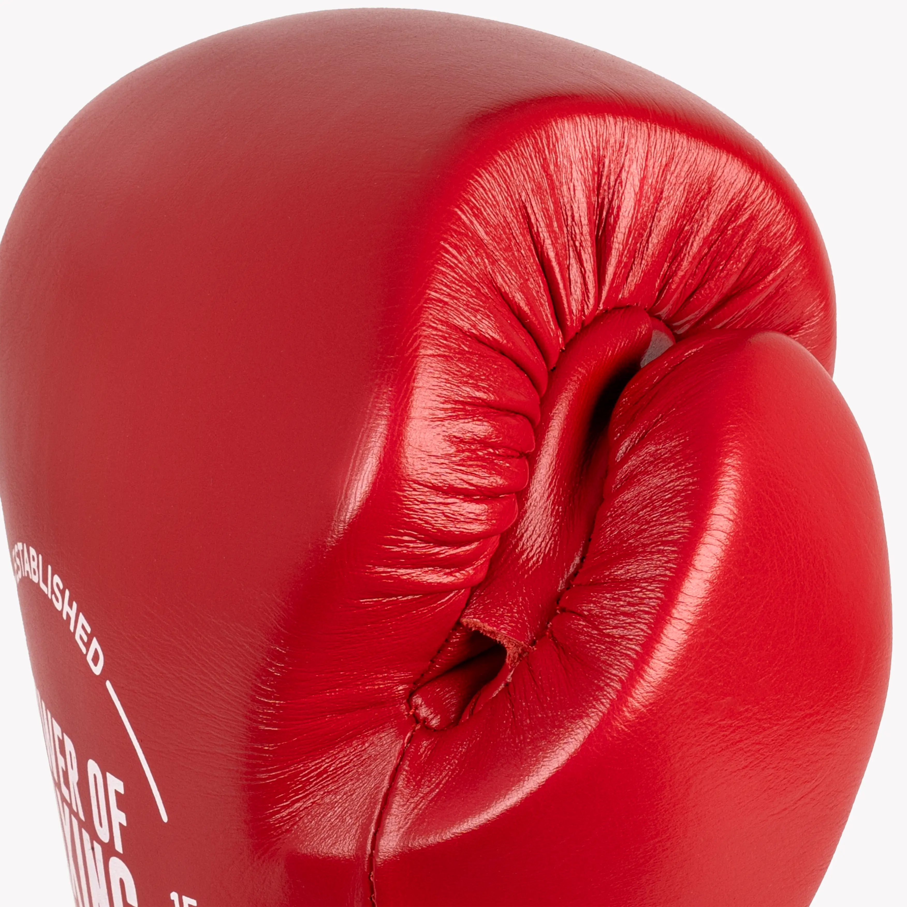 Prime Legacy Gloves - R1 Power Of Boxing