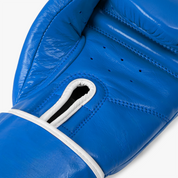 Prime Legacy Gloves - B1 Power Of Boxing